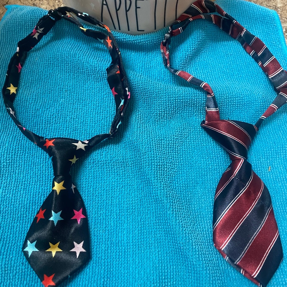 🐶 Doggie or kitty 🐱 Neck ties